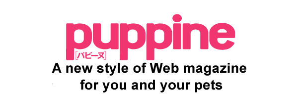 Brangista Inc. ｜ 「Digital magazines」「Solution」「Matomaru EC Tencho ...
